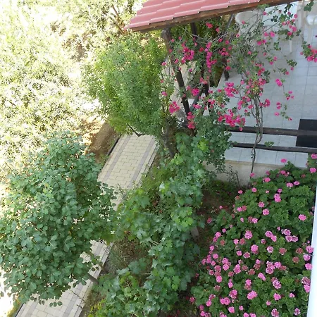Caviri