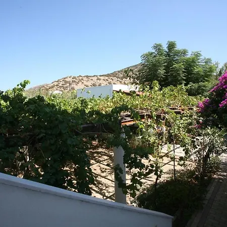 Caviri