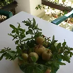 Caviri * Galissas