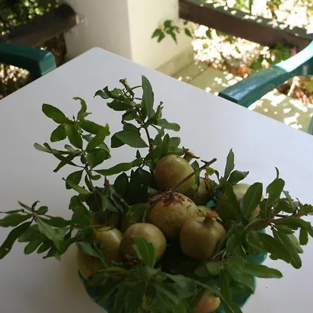 Caviri * Galissas