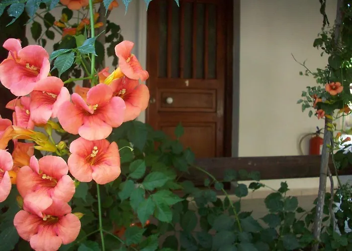 Caviri Галиссас